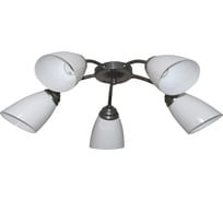 Светильник ЭЛЕТЕХ Китти 151 хром плафон П0475 НПБ 01-5х60-134 Е27 ИУ 1005404453