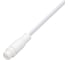 Разъем выводной Arlight ARL-MONO-2PIN-L300-M-IP67 10шт 047393 1