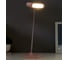 Настольная лампа RISALUX 1670/1 LED 5Вт 2 режима 3000К 6000К USB АКБ розовый 13х10,4х34 см 5091568 6
