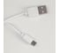 Настольная лампа RISALUX 1674/1WT LED 3Вт USB АКБ белый 11,5х9х42 см 5091596 10