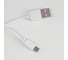 Настольная сенсорная лампа RISALUX 16101/1 LED 5Вт USB АКБ 3 режима белый 32х16х40 см 5091631 7