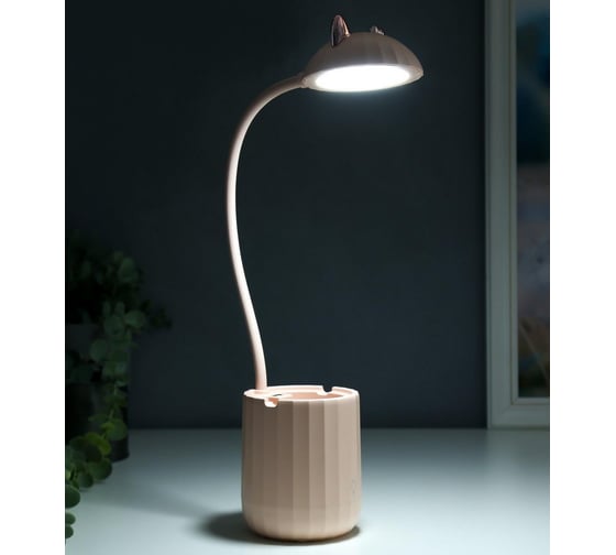 Настольная лампа RISALUX c АКБ 16216/1PK LED 4Вт 3000/6000К USB розовый 8х8х44,5 см 5249061