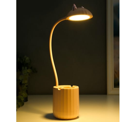 Настольная лампа RISALUX c АКБ 16216/1PK LED 4Вт 3000/6000К USB розовый 8х8х44,5 см 5249061
