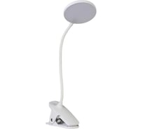 Настольная сенсорная лампа RISALUX 16109/1 LED 4Вт USB АКБ 3000/6000К белый 9,5х12х44 см 5091632
