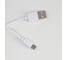 Настольная сенсорная лампа RISALUX 16109/1 LED 4Вт USB АКБ 3000/6000К белый 9,5х12х44 см 5091632 5