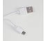 Настольная сенсорная лампа RISALUX 16110/1WT LED 5Вт USB АКБ 3000/6000К белый 15х33,5х34 см 5091633 7