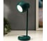 Настольная лампа RISALUX 16044/1GR LED 4Вт 3 режима АКБ USB зеленый 10,5х10,5х31 см 5097737 3