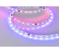 Светодиодная лента Arlight SPI-B60-10mm 24V RGB-PX6-BPT 5м 039180