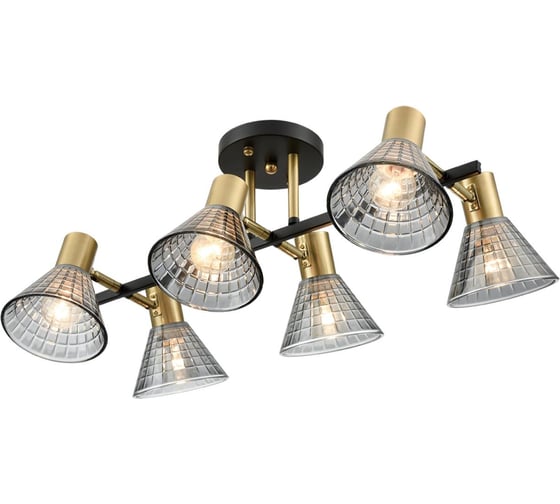Люстра потолочная LUMION E14 6*40W ANRIYA 8044/6C