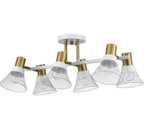 Люстра потолочная LUMION E14 6*40W ANRIYA 8045/6C