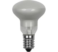 Рефлекторная ламппа накаливания KANLUX R39 30W E14/ 12550