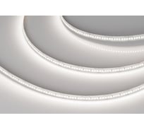 Светодиодная лента Arlight MICROLED-M320-8mm 24V Day5000 5м 047862