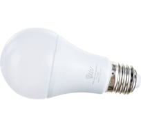 Светодиодная лампа RSV A60-15W-3000K-E27 Р 100489