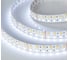 Светодиодная лента Arlight RT-B144-19mm 24V RGBW-Day 5м 018144(3) 11