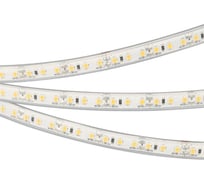 Светодиодная лента герметичная Arlight RTW-PU-A120-10.5mm 12V Day4000 5м 029597(3)