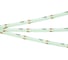 Светодиодная лента Arlight COB-X480-8mm 24V, Sky Blue, 5м 047740 2