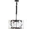 Подвесная люстра Divinare ELLIOT 7304/04 SP-6 1