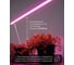 Светодиодный светильник для растений FERON спектр фотосинтез (красно-синий) 14W, пластик, AL7001 41352 6
