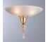 Потолочная люстра Divinare GOCCIA 4021/02 PL-2 2