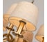Подвесная люстра Divinare FLORENCE 6819/19 SP-12 4