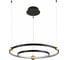 Подвесная люстра Divinare AMADEO 1123/04 SP-65 1