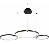 Подвесная люстра Divinare AMADEO 1123/04 SP-75