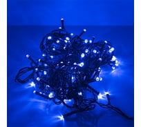 Светодиодная рисовая гирлянда FunRay RL-110B, 10 метров, 100LED, синий, шнур 0.7м, контроллер, 2578