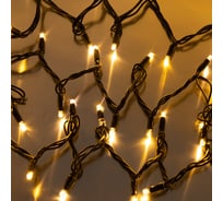 Светодиодная уличная рисовая гирлянда FunRay SE-RICE-10100WW, 10M, 100LED, IP60, шнур 1.5м, 2645