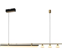 Подвесной светодиодный светильник Citilux HELLY CL211012