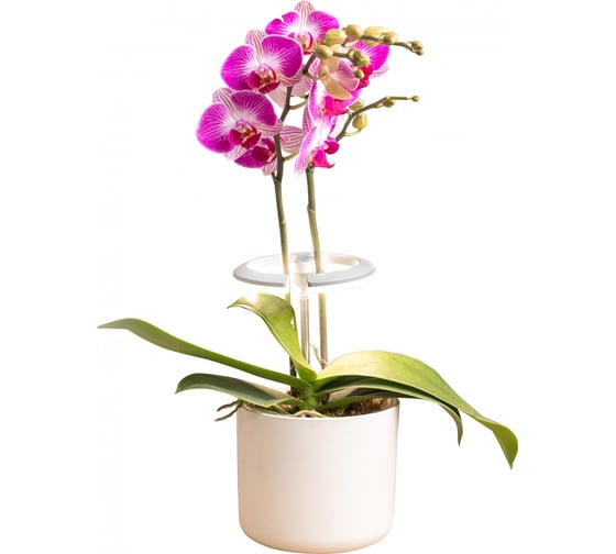 Светильник фито Cactus Garden светодиод 7.5Вт, цвет свечения: белый (CS-LED-ORCHID) 1997128
