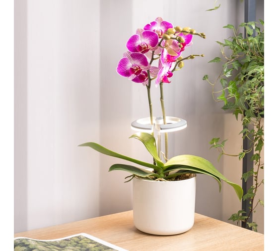 Светильник фито Cactus Garden светодиод 7.5Вт, цвет свечения: белый (CS-LED-ORCHID) 1997128