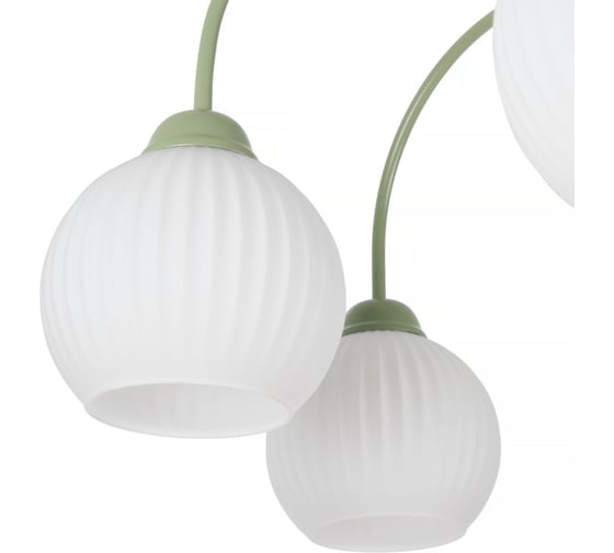 Потолочная люстра MyFar на штанге Flora MR2271-6С MR2271-6C