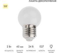 Светодиодная лампа Neon-Night Ø45мм, E27, 7LED, 2 Вт, теплый белый, матовая колба, 24В 405-626