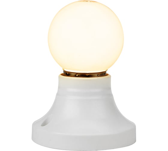 Светодиодная лампа Neon-Night Ø45мм, E27, 7LED, 2 Вт, теплый белый, матовая колба, 24В 405-626