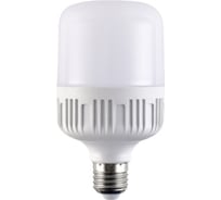Светодиодная лампа RSV RSV-HP-30W-6500K-E27 100311