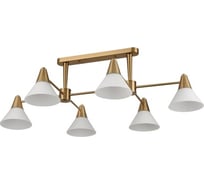 Люстра LUMION потолочная E27 6*60WCORNE 8113/6