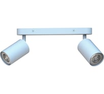 Светильник накладной двойной поворотный truEnergy под лампы 2xGU10 круг белый металл 21361