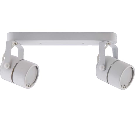 Светильник накладной двойной поворотный truEnergy спот под лампы 2xGU10 круг белый металл 21354