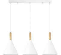 Светильник подвесной EVOLUCE Белый/Белый E27 3*40W SLE1255-503-03