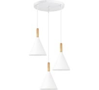 Светильник подвесной EVOLUCE Белый/Белый E27 3*40W SLE1255-513-03