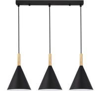 Светильник подвесной EVOLUCE Черный/Черный E27 3*40W SLE1255-403-03