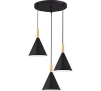Светильник подвесной EVOLUCE Черный/Черный E27 3*40W SLE1255-423-03
