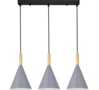Светильник подвесной EVOLUCE Черный/Серый E27 3*40W SLE1255-413-03