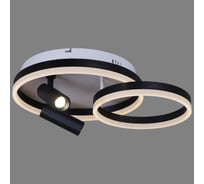 Потолочный светодиодный светильник Reluce 77799-3.3-2+2