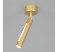 Настенно-потолочный светильник Eurosvet 20084/1 LED матовое золото a047507