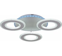 Потолочный светодиодный светильник Reluce 20535-0.3-3+1S