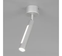 Настенно-потолочный светильник Eurosvet 20084/1 LED серебро a047506