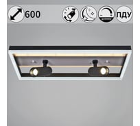 Потолочный светодиодный светильник Reluce 77028-3.3-102+10