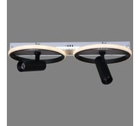 Потолочный светодиодный светильник Reluce 77804-3.3-2+2