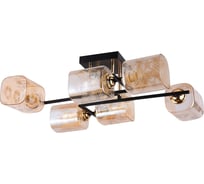 Потолочная люстра ReLuce 72108-0.3-06 BK+FGD